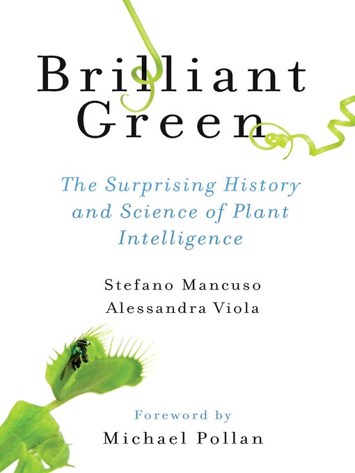 Cover image for Brilliant Green